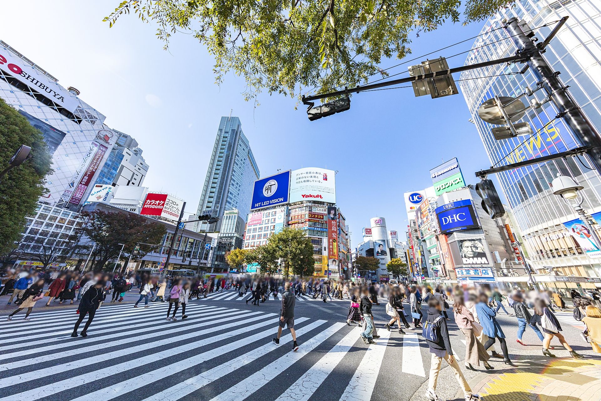 Shibuya Crossing : Even Locals Get Lost The Ultimate Survival Guide